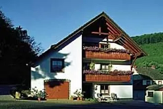 Sonnen Апартаменты Zendscheid